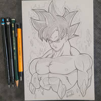 Goku U.I Sign.