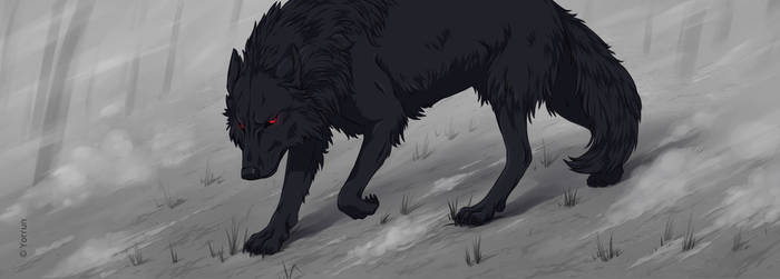 Wolf in darck forest