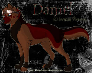 Daniel - The Goggle Breed