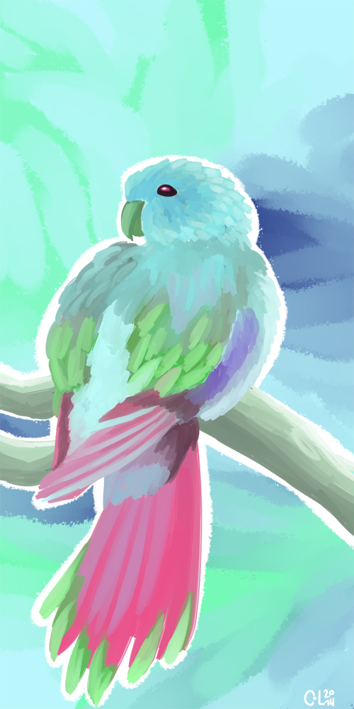 Parrot speedpaint