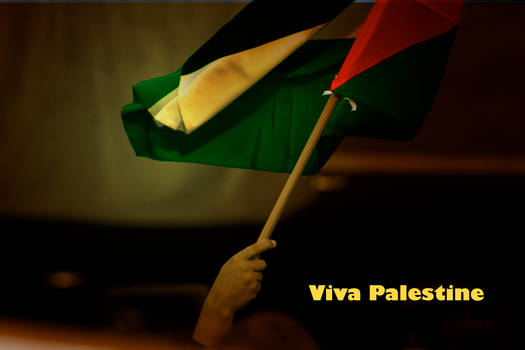 Viva Palestine