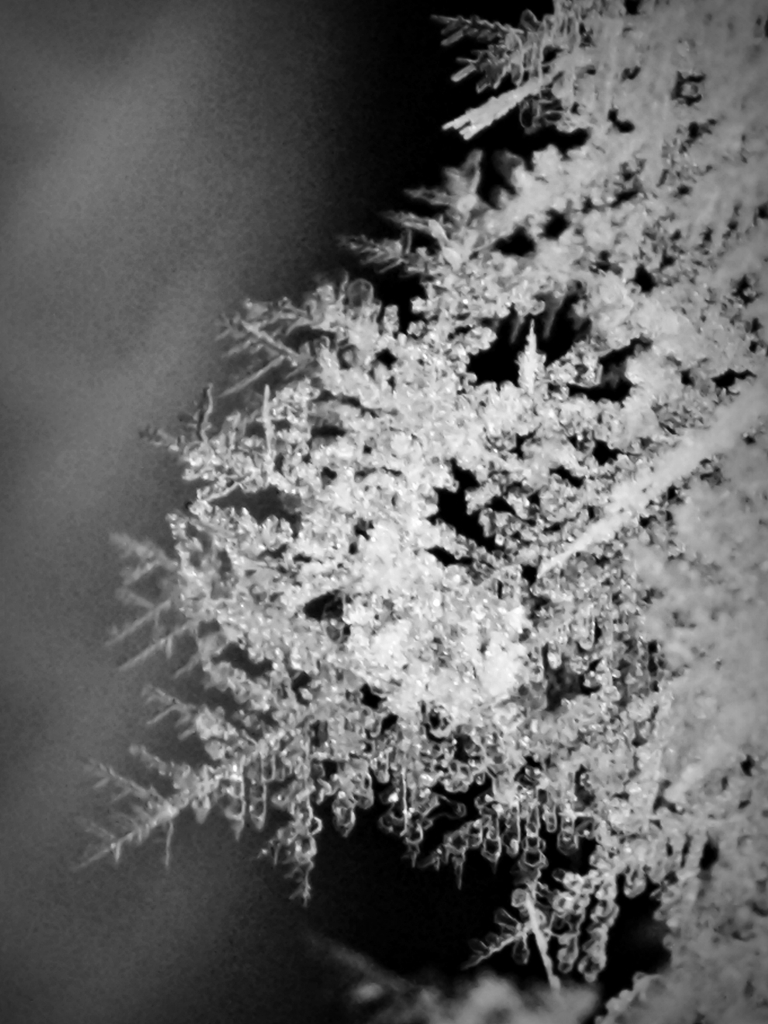frost 4 by DuD on DeviantArt