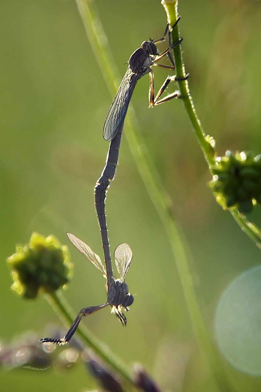 hang on to me