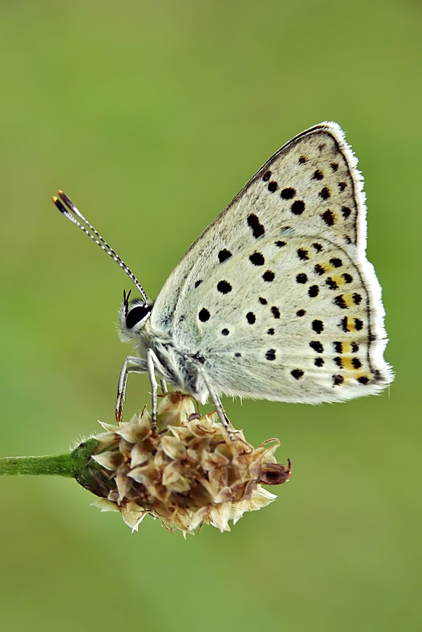 posing to me