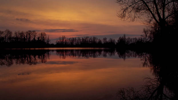 Golden mirror