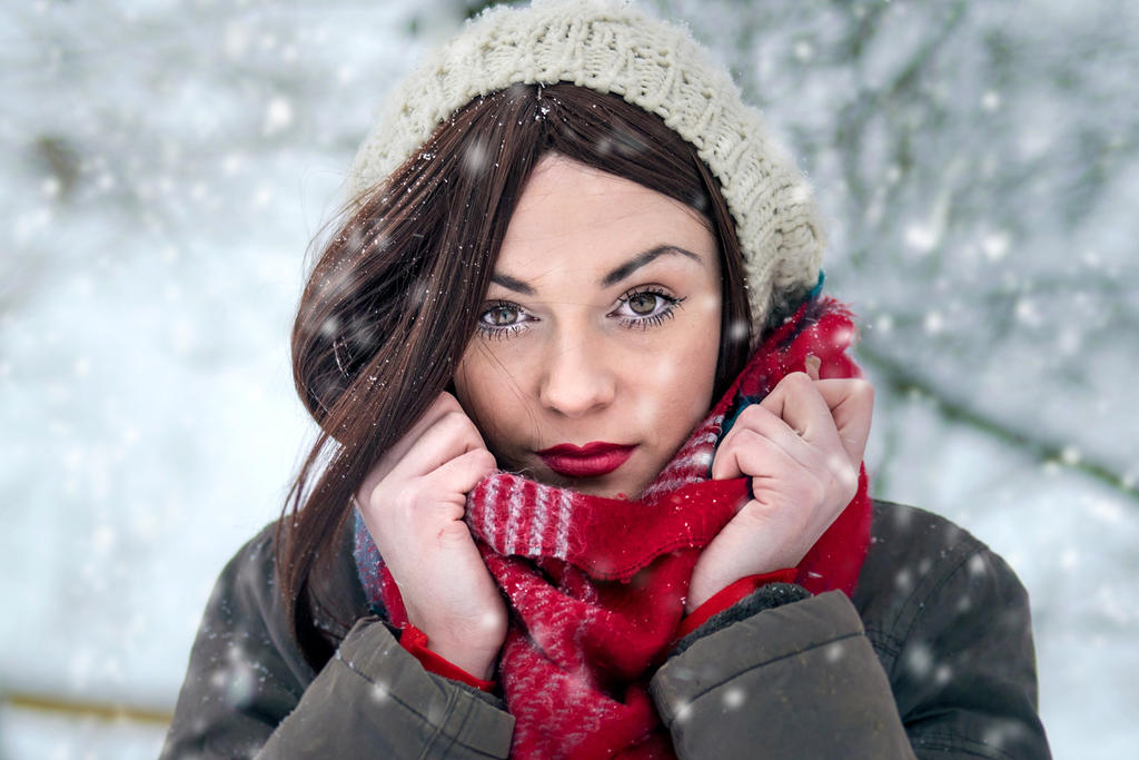 Snowflakes by D-u-D