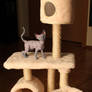 Custom made BJD cat tower