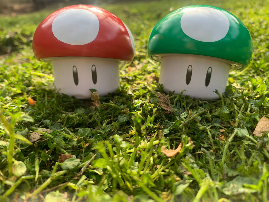 Power Up And 1Up Mushroom By BlackSnowMaker On DeviantArt power-up-and-1up-mushroom-by-blacksnowmaker-on-deviantart