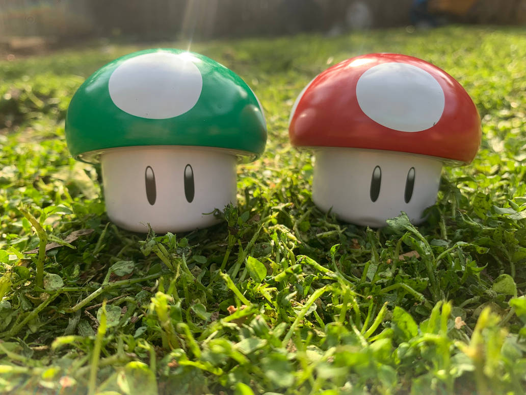 1Up And Power Up Mushroom By BlackSnowMaker On DeviantArt 1up-and-power-up-mushroom-by-blacksnowmaker-on-deviantart
