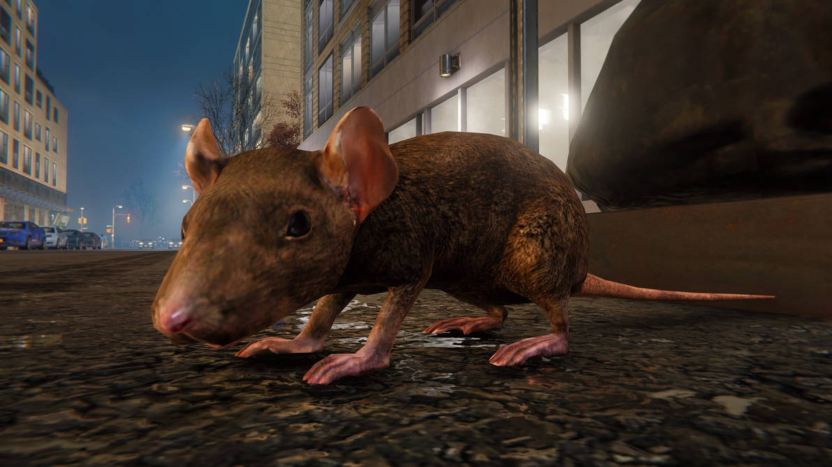 Ny Rats New York rat by BlackSnowMaker on DeviantArt