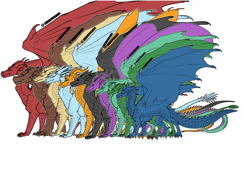 Dragon Size Chart!  Whims from Valadae