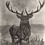 Stag