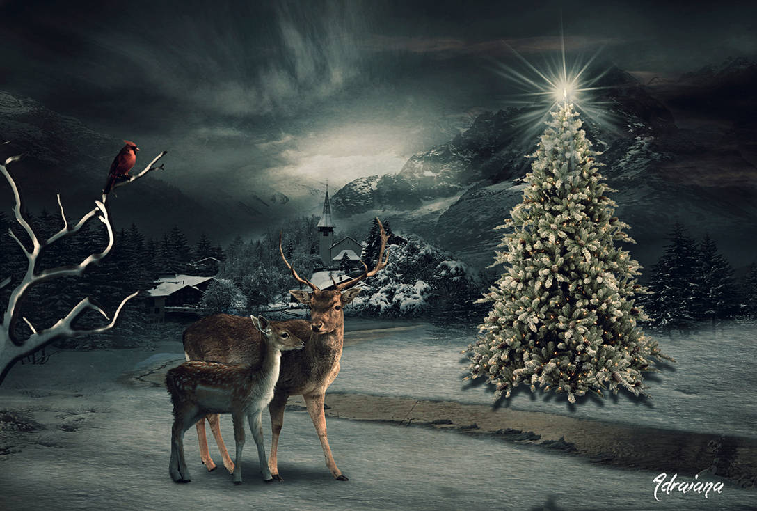 Christmas in the forest by Adriana-Madrid Christmas in the forest by Adriana-Madrid
