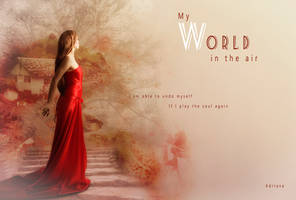 My world in the air