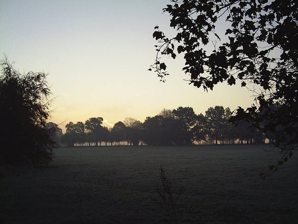 Dawn Frost 1 by very-bad-monkey on DeviantArt