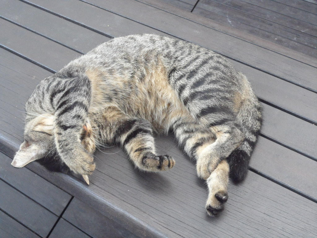 Napper by PanZhen3 on DeviantArt