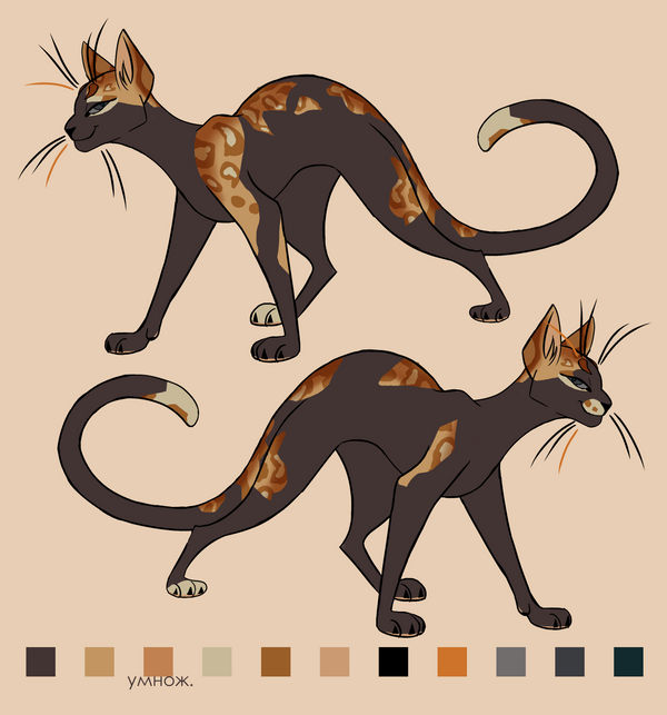 Lizard Body Ref Reference of Lizard by Histr on DeviantArt