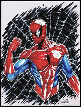 Spider-Man Bust  (COPIC)