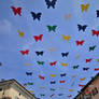 Butterflies in the sky