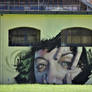 Green eyes murales