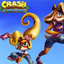 Crash Bandicoot- The Support Squad