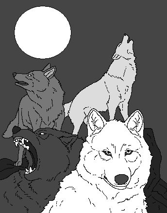 4 Wolves Moon Four Wolves and the Moon (TheSodaSmuggler) by bella50224 on DeviantArt