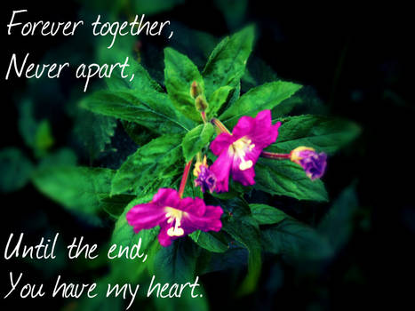 Forever_Together