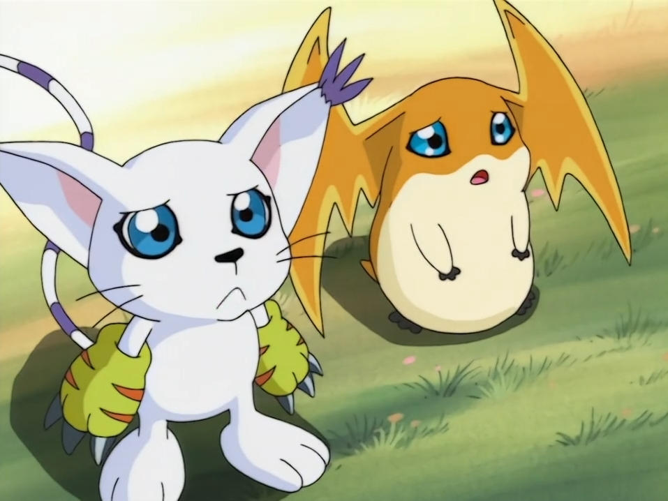 Gatomon and patamon by shakimberryjr on DeviantArt