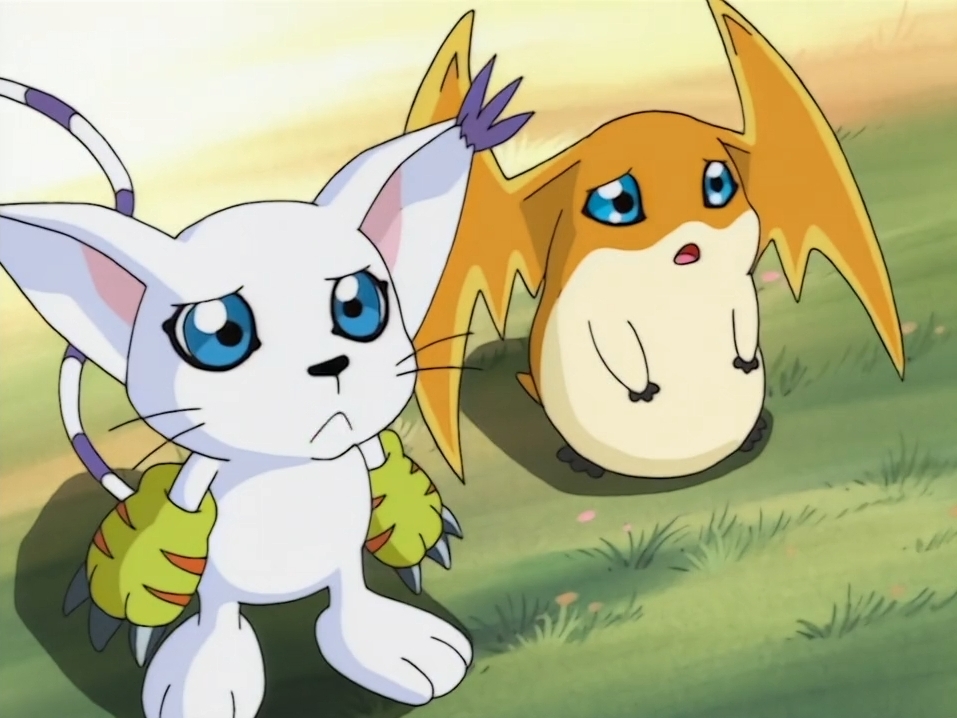 Fatamon Gatomon and patamon by shakimberryjr on DeviantArt