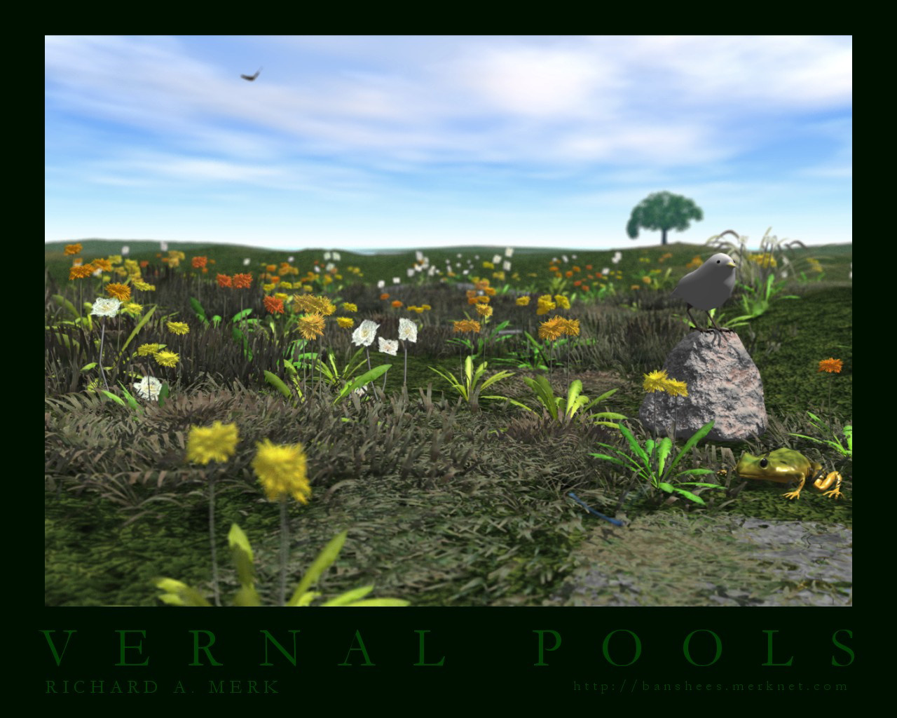 Vernal Pools