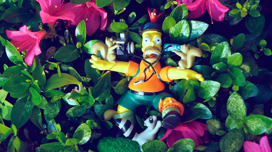 Homer In A Bush