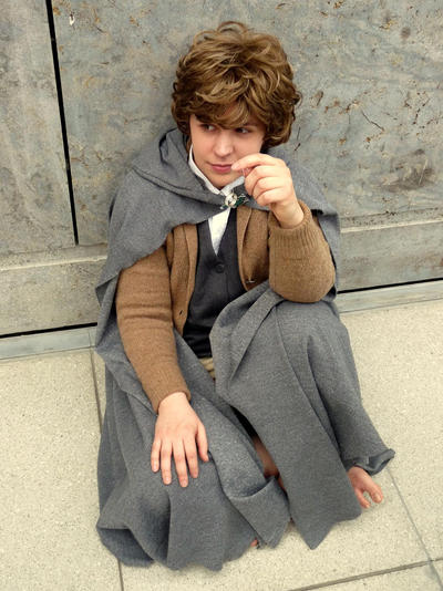 Sam Gamgee by sawyerlein on DeviantArt