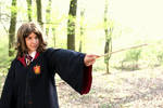 HP - Wingardium Leviosa by sawyerlein