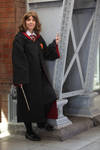 HP - On her way to Hogwarts by sawyerlein