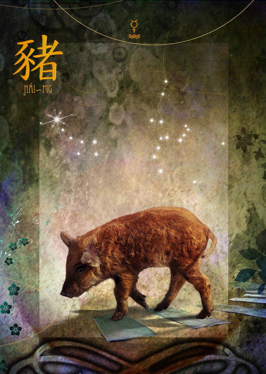 Chinese Zodiac Signs - The Pig