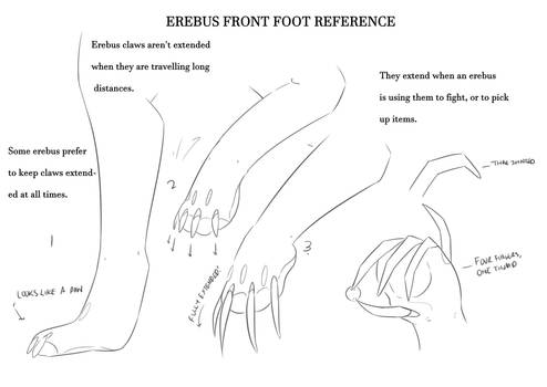 Erebus Front Foot Reference