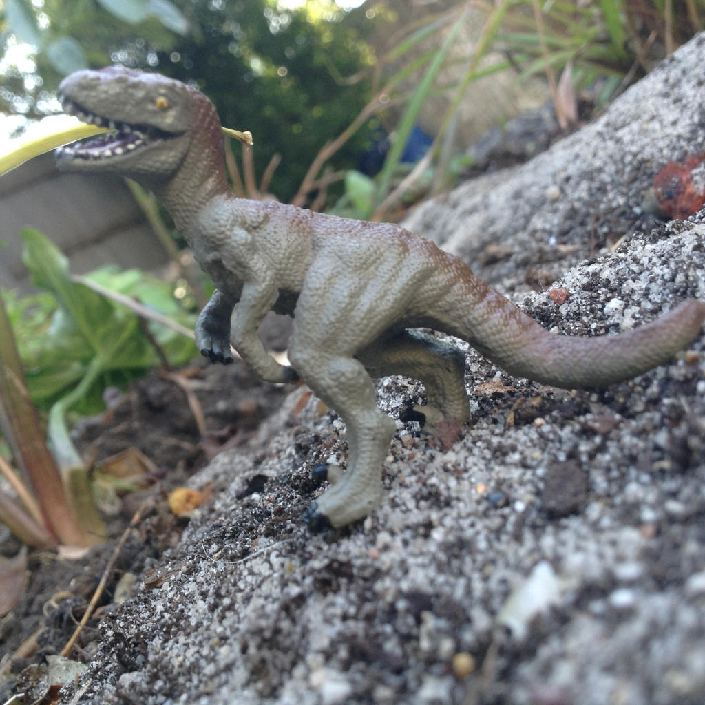Papo Mini Velociraptor by Draconyx13 on DeviantArt