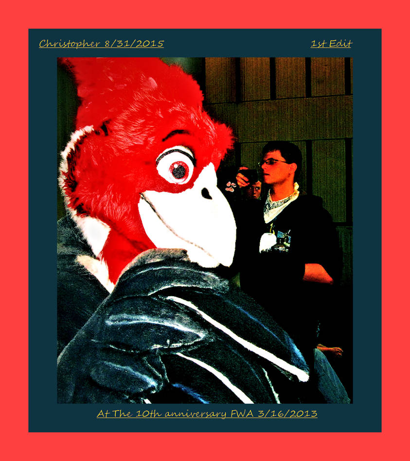 Fwa 11a 1st edit by HomeOfBluAndshadows on DeviantArt