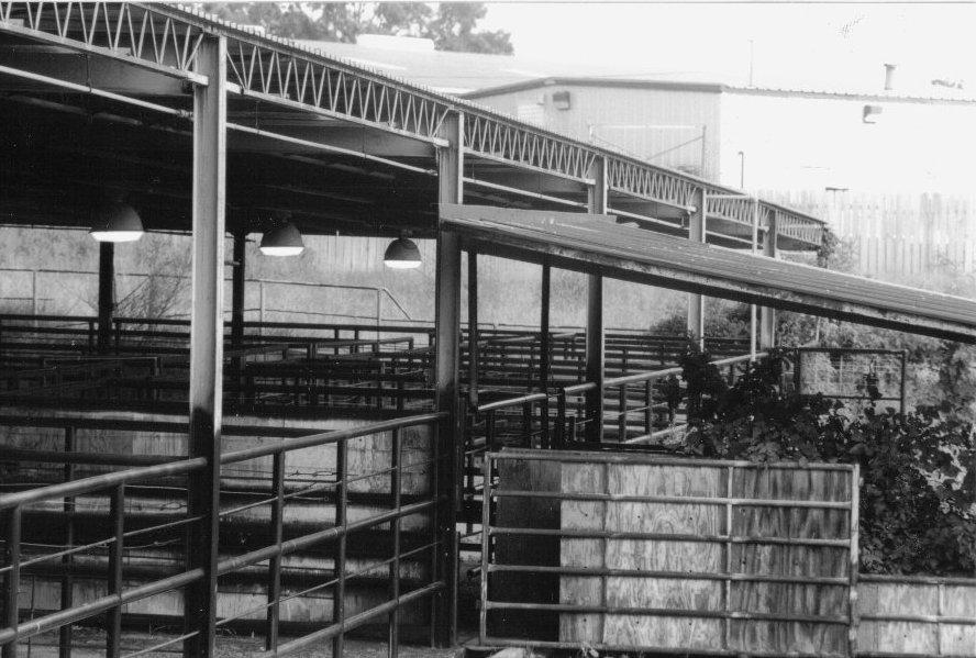 empty rodeo by pegasusfading on DeviantArt