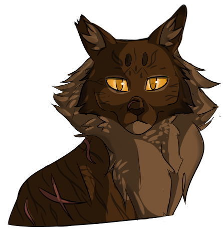 Tigerstar - 100 WCC