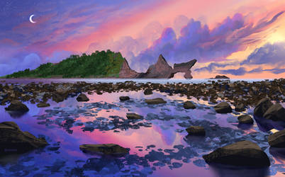 Rocky shore