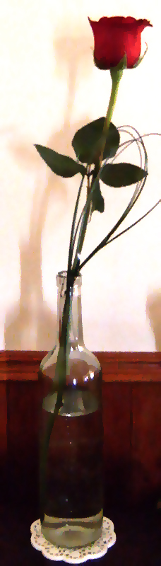 A Long Stem Rose