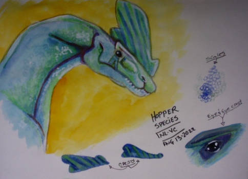 Hopper Species_Sketchbook Drabbles