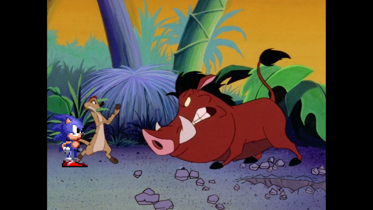 Sonic Sees Timon And Pumbaa Fighting by elijahthesonicguy on DeviantArt