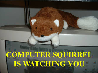 Beware of Squirrel