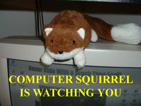 Beware of Squirrel