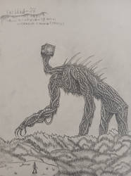 Entity-27/The Wandering Giant