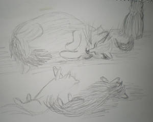 Whisker sketches