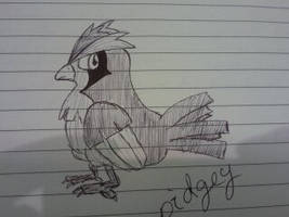 pidgey!