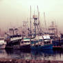 Boats of Yaquina Bay